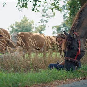 Bilder Magie der Wildpferde