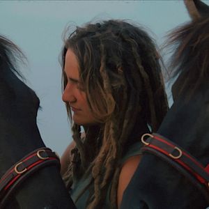 Bilder Magie der Wildpferde