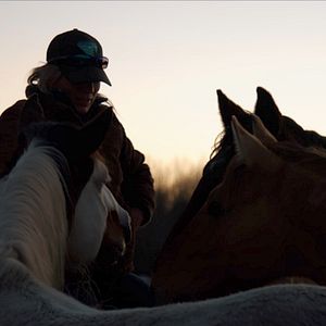 Bilder Magie der Wildpferde