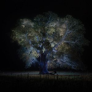 Bilder Auf ewig Jessica