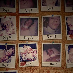 Bilder Alive - Gib nicht auf!