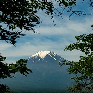 Bilder Van Gogh und Japan
