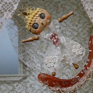 Bilder Drôles de cigognes !