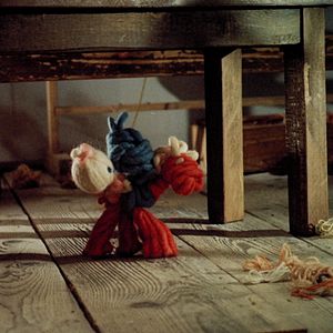 Bilder Drôles de cigognes !