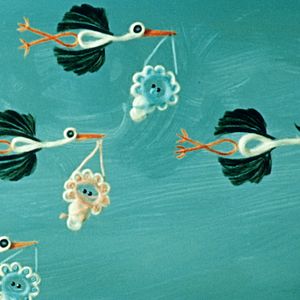 Bilder Drôles de cigognes !