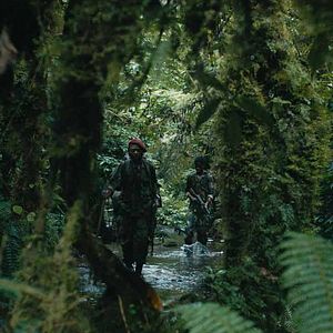 Bilder Stéphane Bak