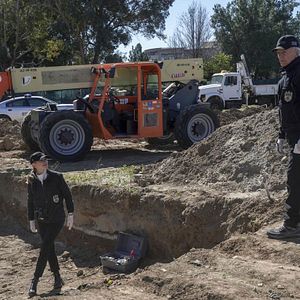 Bilder Emily Wickersham