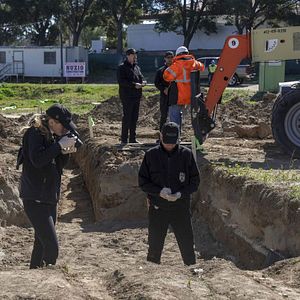 Bilder Emily Wickersham