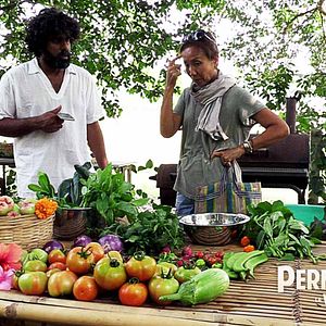 Bilder Permaculture, la voie de l'Autonomie