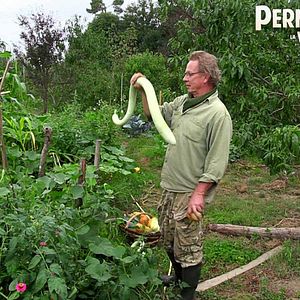 Bilder Permaculture, la voie de l'Autonomie