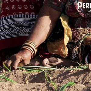 Bilder Permaculture, la voie de l'Autonomie