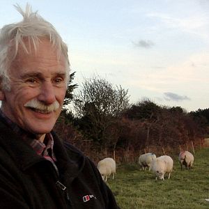 Bilder WKDW - Was kostet die Welt