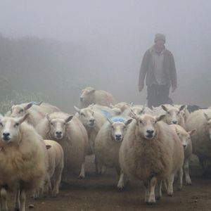 Bilder WKDW - Was kostet die Welt