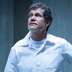 Bilder Whiskey Cavalier