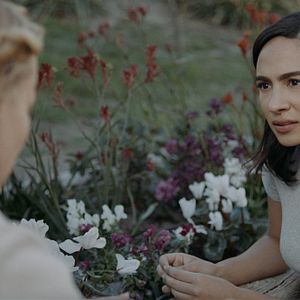 Bilder Into The Dark