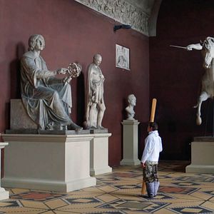 Bilder The Raven And The Seagull