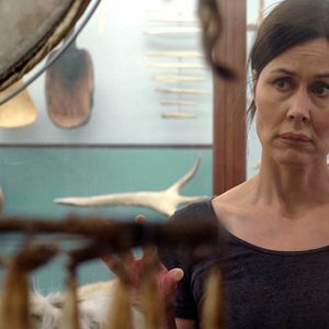 Bilder The Raven And The Seagull