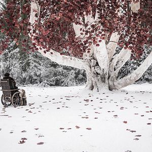 Bilder Isaac Hempstead Wright