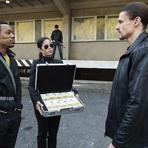 Bilder Whiskey Cavalier