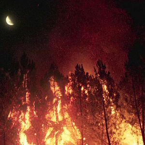 Bilder Fire Will Come