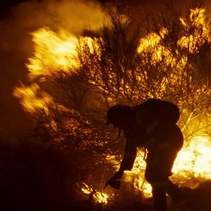 Bilder Fire Will Come