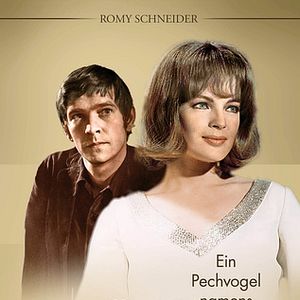 Bilder Ein Pechvogel namens Otley