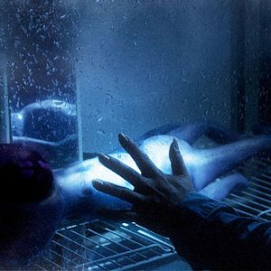 Bilder Brief Story From The Green Planet