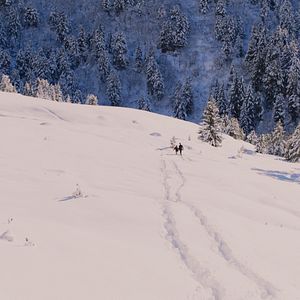 Bilder Der flüssige Spiegel