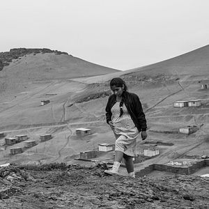 Bilder Song Without A Name