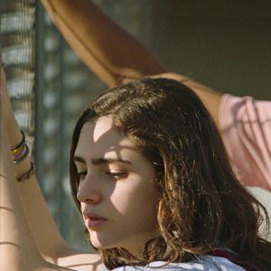 Bilder Sem Seu Sangue