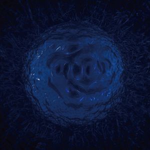 Bilder Grand Bouquet