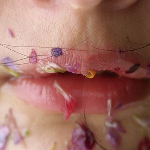 Bilder Grand Bouquet