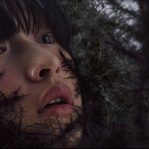 Bilder Grand Bouquet