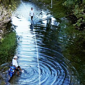 Bilder That Which is to Come is Just a Promise