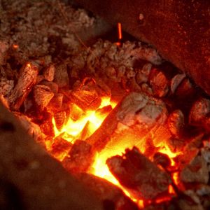 Bilder Le Chant de la couleuvre