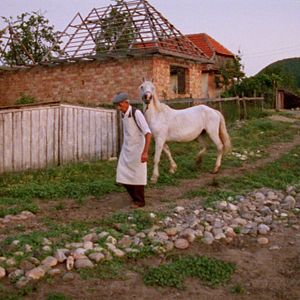 Bilder Le Chant de la couleuvre