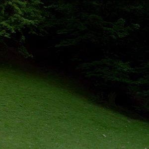 Bilder Le Chant de la couleuvre