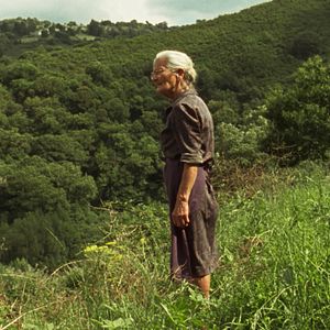 Bilder Fire Will Come