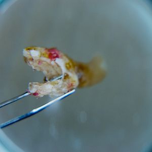 Bilder Murder Me, Monster