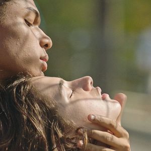 Bilder Sem Seu Sangue