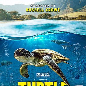 Bilder Turtle Odyssey