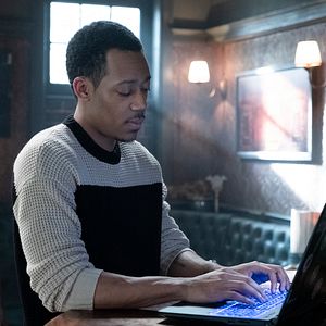 Bilder Whiskey Cavalier