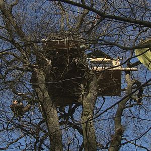 Bilder Die rote Linie – Vom Widerstand im Hambacher Forst