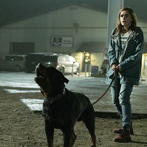 Bilder Kiernan Shipka