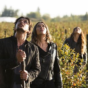 Bilder Lindsey Morgan