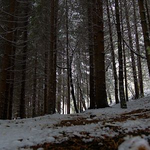 Bilder Le Jardin Des Cimes - Une Enclave En Altitude