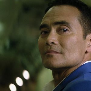 Bilder Maximum Impact