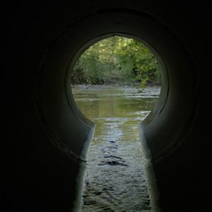 Bilder The Devil We Know – Das unsichtbare Gift