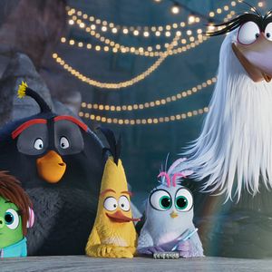 Bilder Angry Birds 2