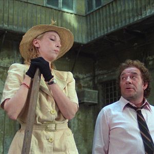 Bilder Der Kater lässt das Mausen nicht